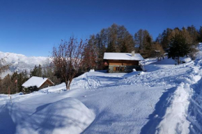Belle Vie sur les pistes